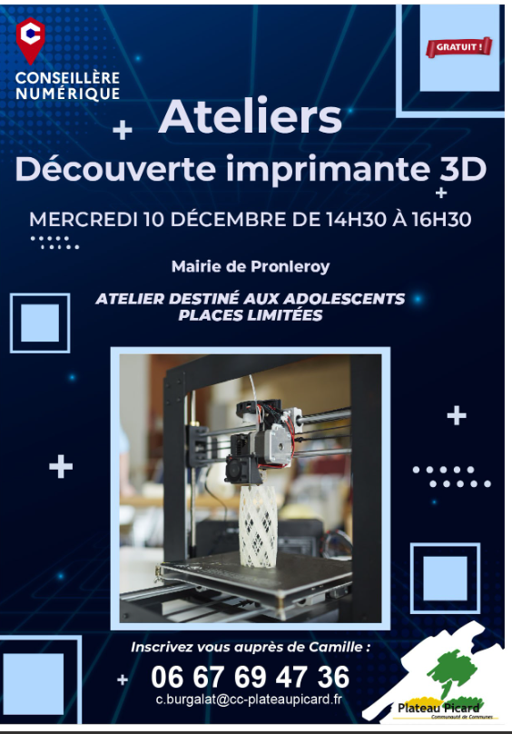 ATELIER NUMERIQUE 3 D 10 Décembre