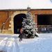 DSC01262.jpg